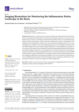 Imaging Biomarkers for Monitoring the Inflammatory Redox Landscape In