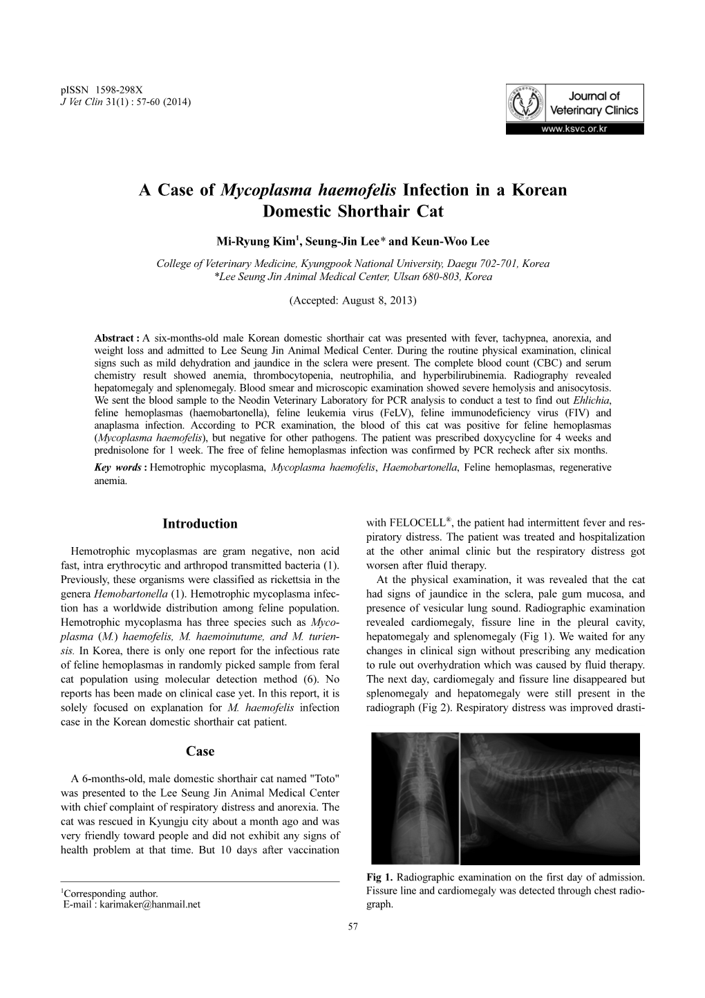 A Case of Mycoplasma Haemofelis Infection in a Korean Domestic Shorthair Cat