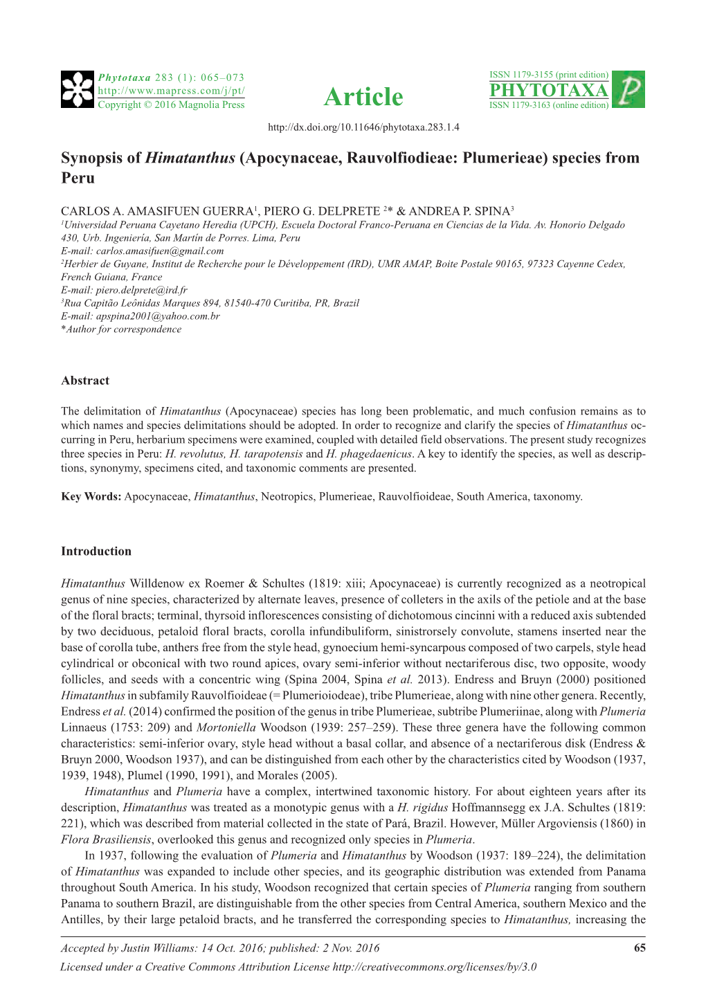 Synopsis of Himatanthus (Apocynaceae, Rauvolfiodieae: Plumerieae) Species from Peru