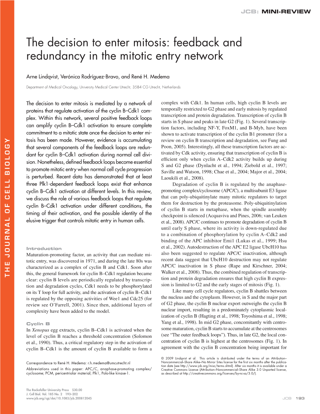 The Decision to Enter Mitosis: Feedback and Redundancy in the Mitotic Entry Network