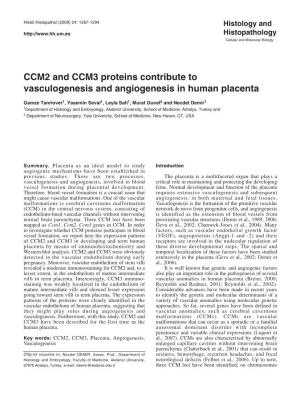 CCM2 and CCM3 Proteins Contribute to Vasculogenesis and Angiogenesis in Human Placenta