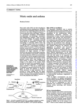 Nitric Oxide and Asthma