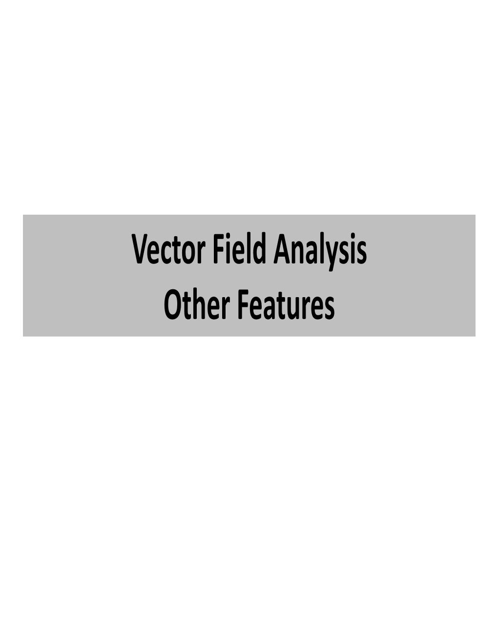 Vector Field Analysis Other Features Topological Features