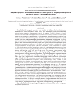 Magmatic Graphite Inclusions in Mn-Fe-Rich Fluorapatite of Perphosphorus Granites (The Belvís Pluton, Variscan Iberian Belt)