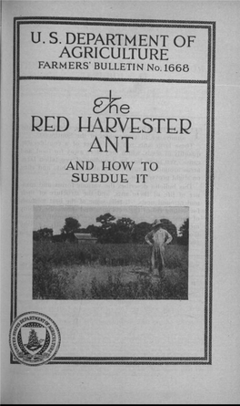 Red Harvester Ant and How to Subdue It