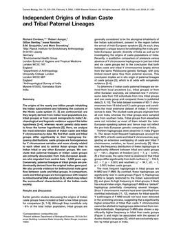 Independent Origins of Indian Caste and Tribal Paternal Lineages