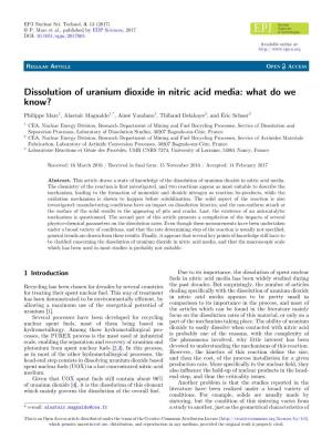 Dissolution of Uranium Dioxide in Nitric Acid Media: What Do We Know?