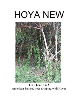 Hoya New Volume
