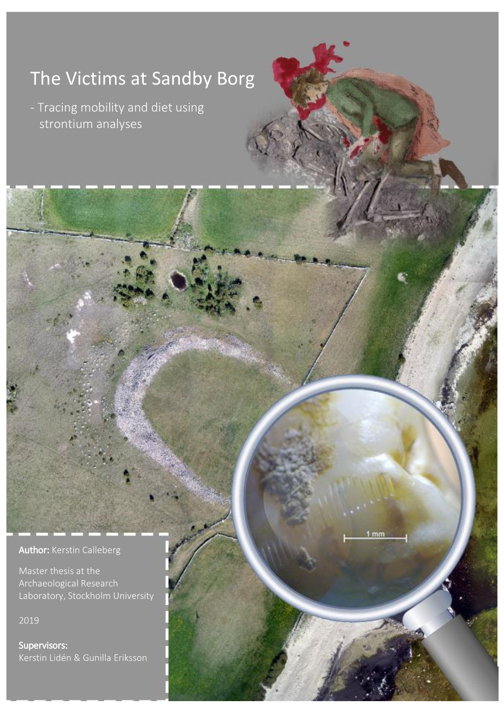 The Victims at Sandby Borg - Tracing Mobility and Diet Using Strontium Analyses