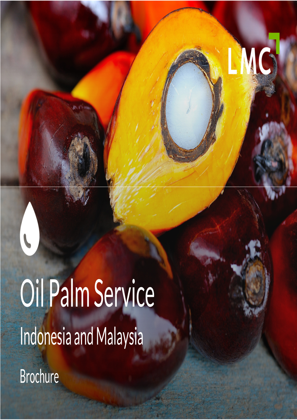 Oil Palm Service Indonesia and Malaysia Brochure Can Oil Palm Production Continue to Grow? in Which Regions?