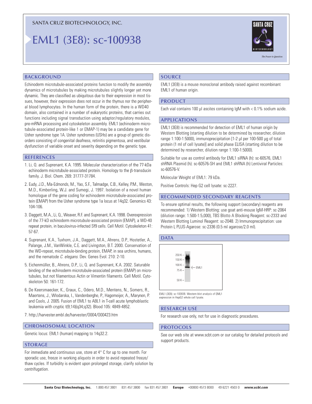 EML1 (3E8): Sc-100938