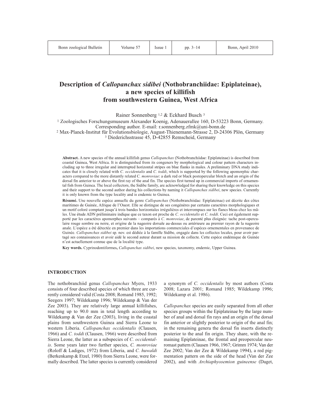 Description of Callopanchax Sidibei (Nothobranchiidae: Epiplateinae), a New Species of Killifish from Southwestern Guinea, West Africa