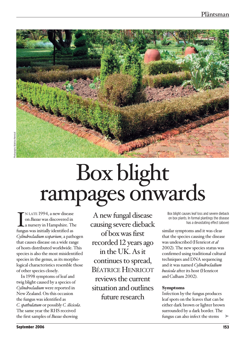 Box Blight: Rampages Onwards