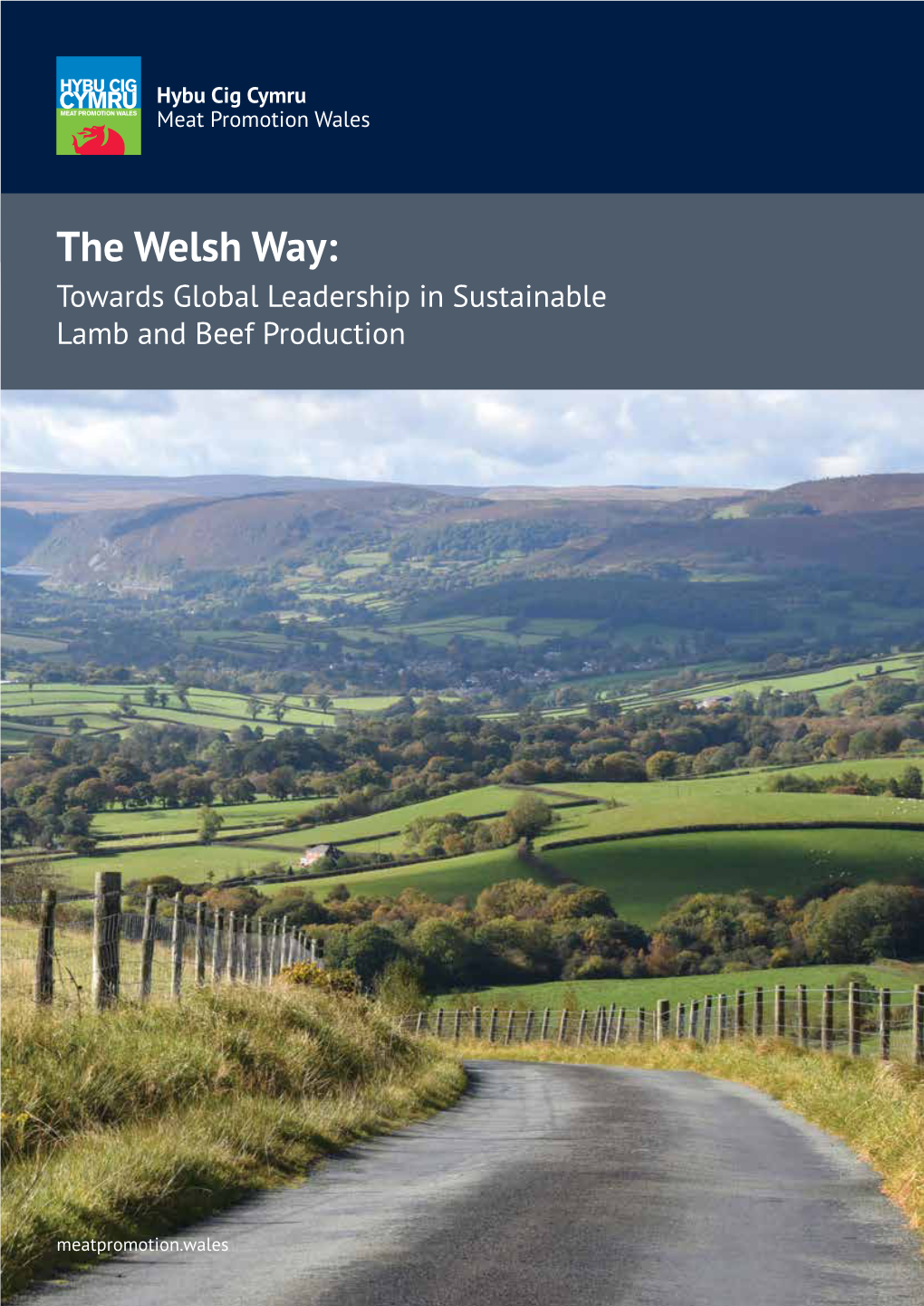 The Welsh Way: Towards Global Leadership in Sustainable Lamb and Beef Production