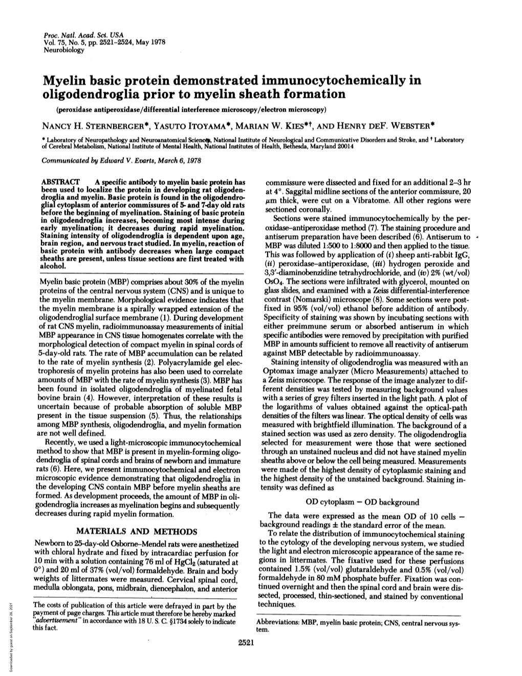 Myelin Basic Protein Demonstrated Immunocytochemically In