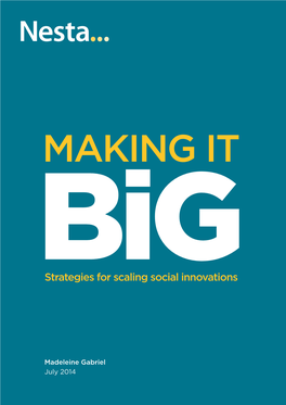 MAKING IT Big Strategies for Scaling Social Innovations