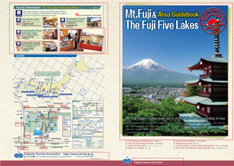 Mt.Fuji& the Fuji Five Lakes