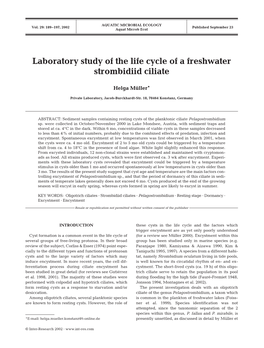 Laboratory Study of the Life Cycle of a Freshwater Strombidiid Ciliate