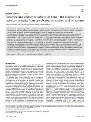 Paracrine and Endocrine Actions of Boneâ€”The Functions of Secretory