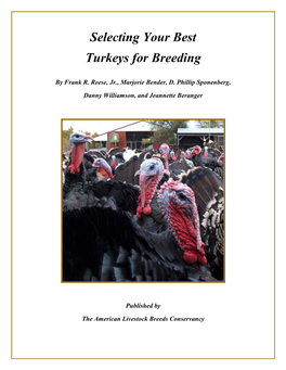 Understanding Turkey History and How to Pick