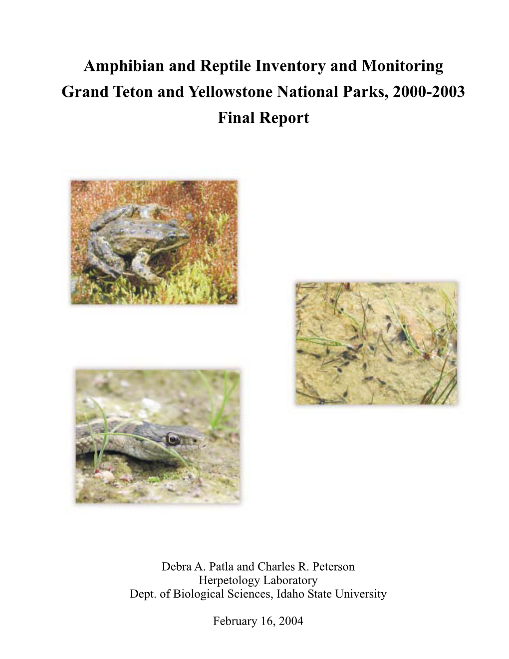 Amphibian and Reptile Inventory and Monitoring Grand Teton and Yellowstone National Parks, 2000-2003 Final Report