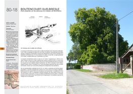 BOUTENCOURT-SUR-BRESLE 80-18 Deux Platanes Sur Les Pelouses Du Château De Monthières