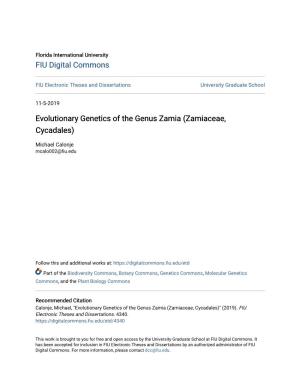 Evolutionary Genetics of the Genus Zamia (Zamiaceae, Cycadales)