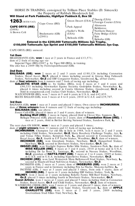 HORSE in TRAINING, Consigned by Conkwell Grange