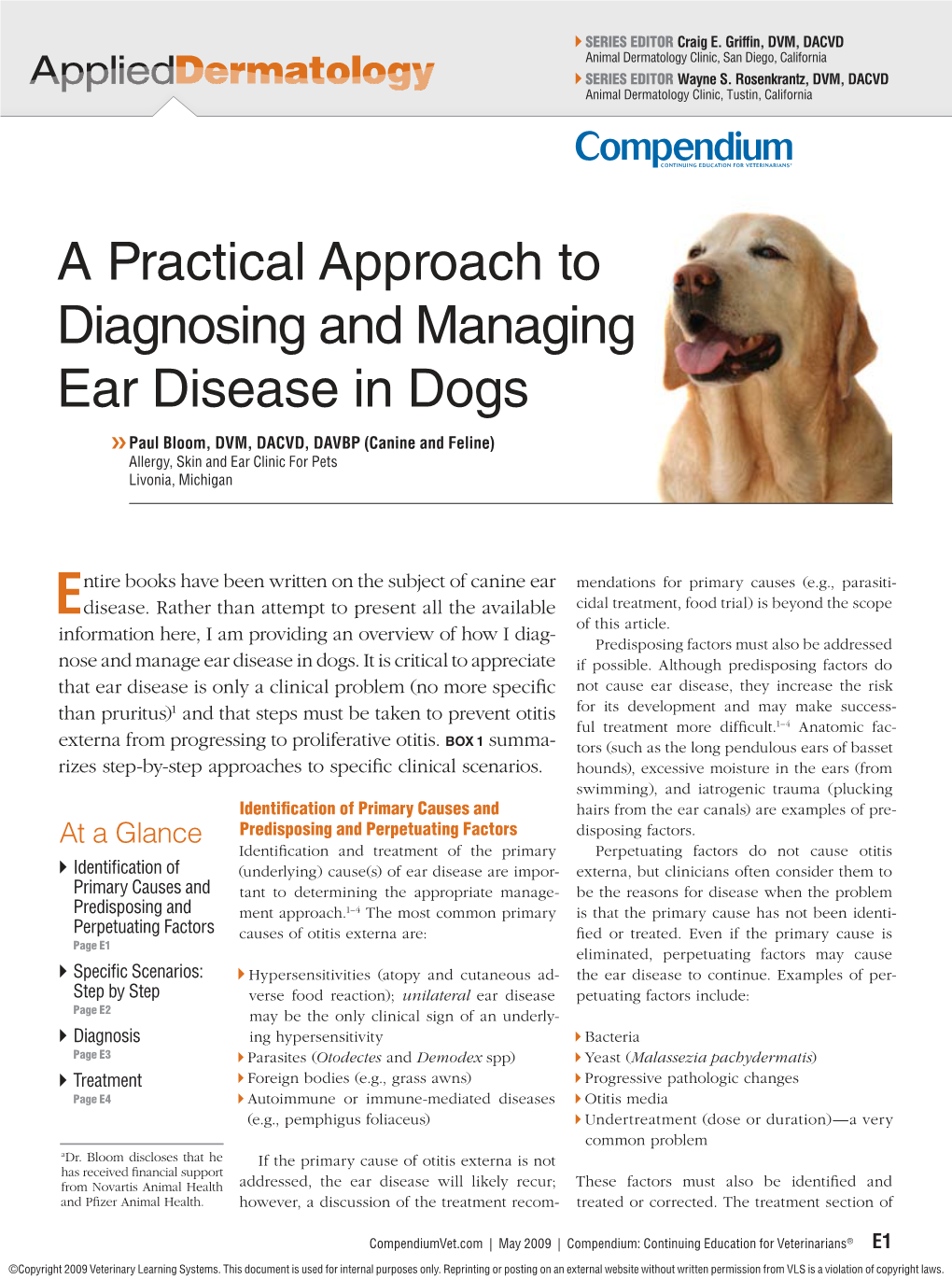 A Practical Approach to Diagnosing and Managing Ear Disease in Dogs