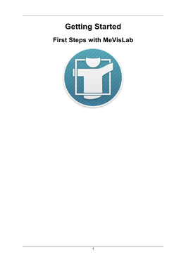 Getting Started First Steps with Mevislab