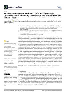 Microenvironmental Conditions Drive the Differential Cyanobacterial Community Composition of Biocrusts from the Sahara Desert