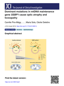 Dominant Mutations in Mtdna Maintenance Gene SSBP1 Cause Optic Atrophy and Foveopathy