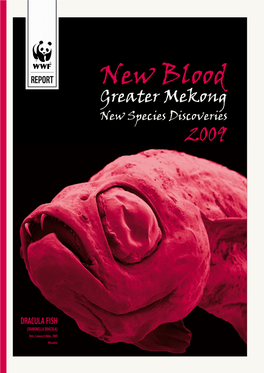 New Blood: Greater Mekong New Species Discoveries 2009 1 Flooded Forest, Kratie-Stung Treng, Cambodia, in the Mekong River Ecoregion