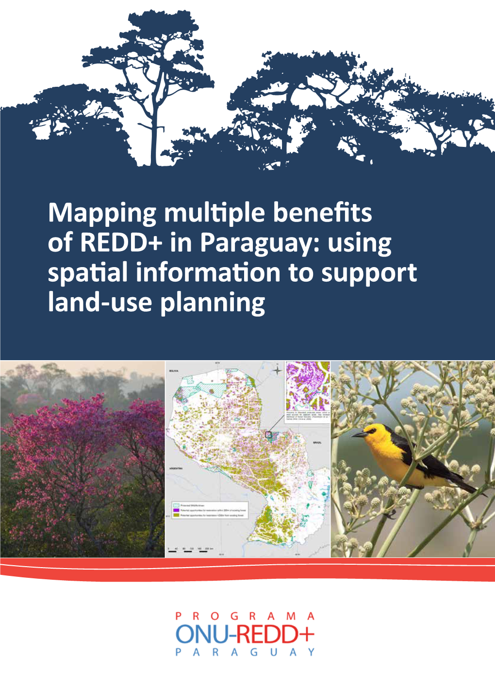 Mapping Multiple Benefits of REDD+ in Paraguay: Using Spatial Information to Support Land-Use Planning UN-UN-UN-REDDREDDREDD