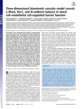 Three-Dimensional Biomimetic Vascular Model Reveals a Rhoa, Rac1, and N-Cadherin Balance in Mural Cell–Endothelial Cell-Regulated Barrier Function