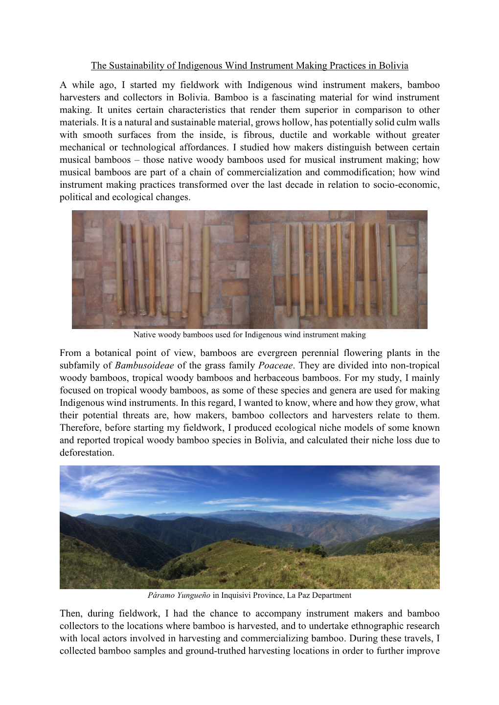The Sustainability of Indigenous Wind Instrument Making Practices In