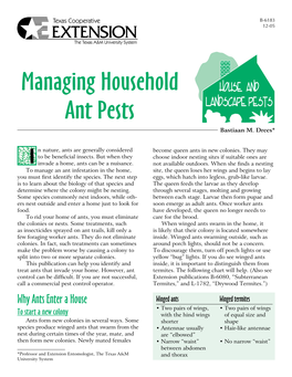 Managing Household Ant Pests Bastiaan M