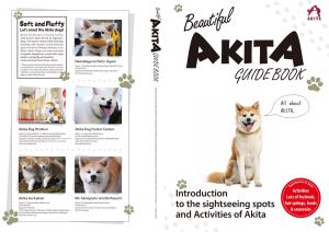 Introduction to the Sightseeing Spots and Activities of Akita
