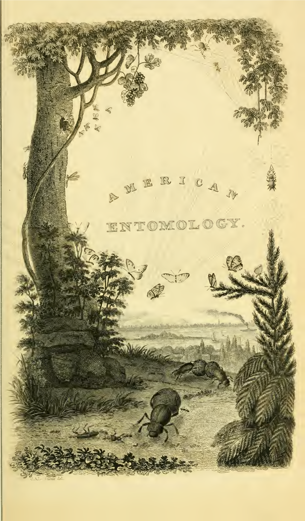 American Entomology, Or Descriptions of the Insects of North