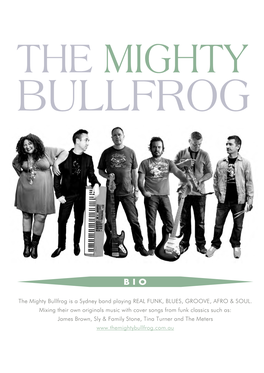 The Mighty Bullfrog Is a Sydney Band Playing REAL FUNK, BLUES, GROOVE, AFRO & SOUL