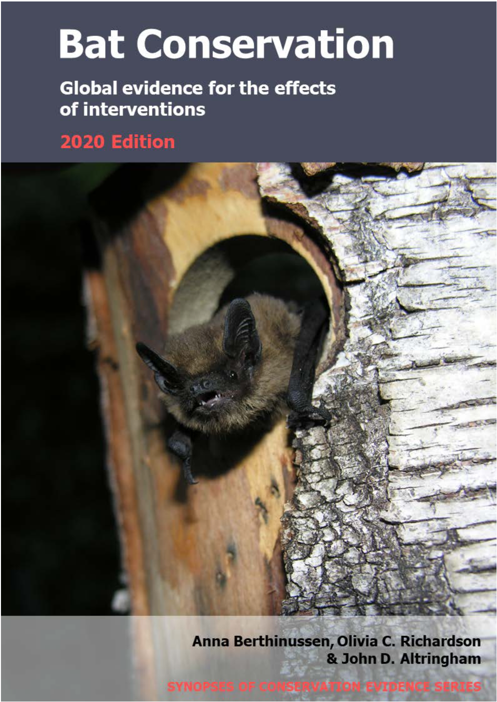 Bat Conservation 2019