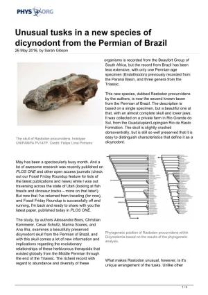 Unusual Tusks in a New Species of Dicynodont from the Permian of Brazil 26 May 2016, by Sarah Gibson