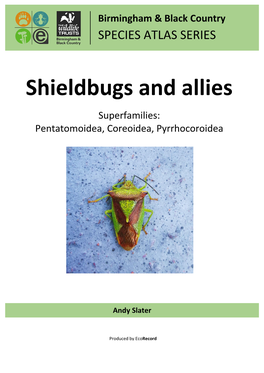 Shieldbugs and Allies Superfamilies: Pentatomoidea, Coreoidea, Pyrrhocoroidea