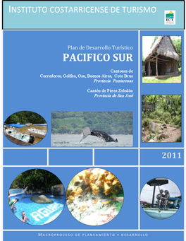 Plan De Desarrollo Turístico PACIFICO SUR