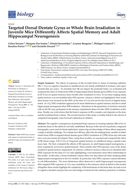 Targeted Dorsal Dentate Gyrus Or Whole Brain Irradiation in Juvenile Mice Differently Affects Spatial Memory and Adult Hippocampal Neurogenesis