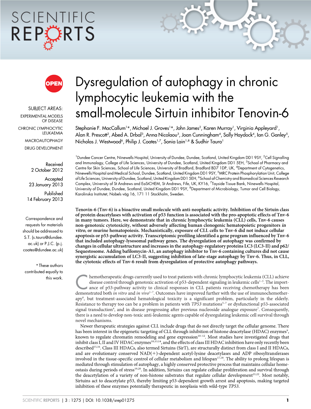 Dysregulation of Autophagy in Chronic Lymphocytic Leukemia with the Small