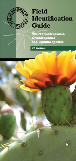 Field Identification Guide Austrocylindropuntia, Cylindropuntia and Opuntia Species