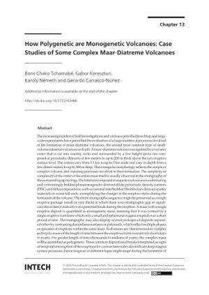 How Polygenetic Are Monogenetic Volcanoes: Case Studies of Some Complex Maar‐Diatreme Volcanoes