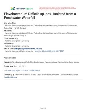 Flavobacterium Di Cile Sp. Nov., Isolated from a Freshwater Waterfall
