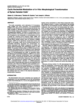 Cyclic Nucleotide Modulation of in Vitro Morphological Transformation of Syrian Hamster Cells1